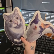 Photo submitted by Alyssa