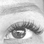 Photo submitted by DIANA