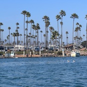 Photo submitted by Guest