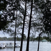 Photo submitted by Jessica