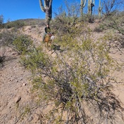 Photo submitted by Joanna