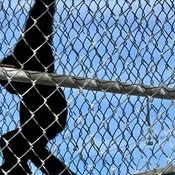 Photo submitted by Anne