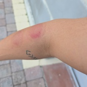 Photo submitted by Mauricio