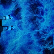 Photo submitted by Cam