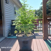 Photo submitted by Wayne