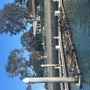 Photo submitted by Jaiden