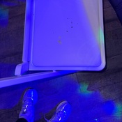 Photo submitted by linda