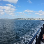 Photo submitted by Ray