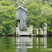 Photo submitted by Amanda