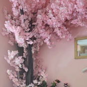 Photo submitted by Ashley