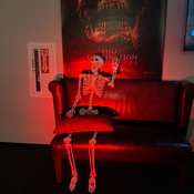 Photo submitted by Orquidia