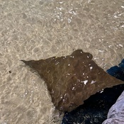 Photo submitted by Tawny