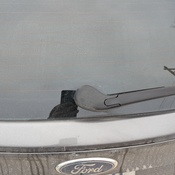 Photo submitted by Trevis