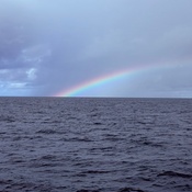 Photo submitted by Luna