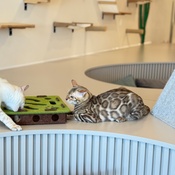 Photo submitted by Guest