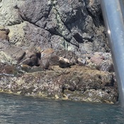 Photo submitted by Wendy