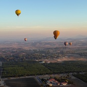 Photo submitted by Calista