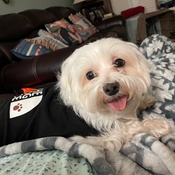 Photo submitted by Marilyn