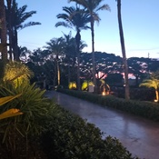 Photo submitted by Marnie