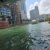 Photo submitted by Anna