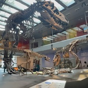 Photo submitted by Adriana