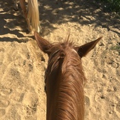 Photo submitted by Briseyda