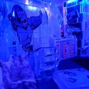 Photo submitted by Rachel