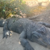 Photo submitted by Tory