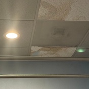 Photo submitted by Leysan