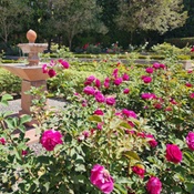 Photo submitted by jon