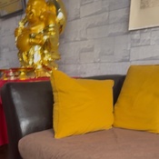 Photo submitted by Tenesha