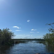 Photo submitted by Guest