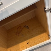 Photo submitted by Patric