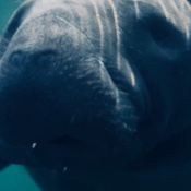 Photo submitted by Rachel