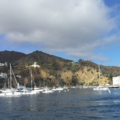 Photo submitted by Elizabeth