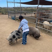 Photo submitted by TRACI