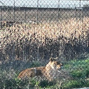 Photo submitted by Charmion