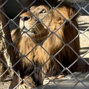 Photo submitted by Kota