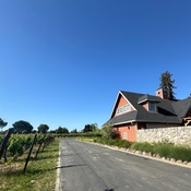 Photo submitted by Laura