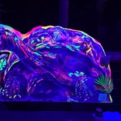 Photo submitted by Susan