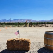 Photo submitted by deidre