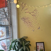 Photo submitted by Destiny