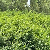 Photo submitted by Christina