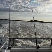 Photo submitted by Angel