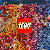 Photo submitted by keri