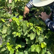 Photo submitted by Kenny