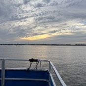 Photo submitted by Martha