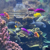 Photo submitted by Barbara