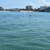 Photo submitted by Allyssa