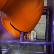 Photo submitted by Kaitlyn